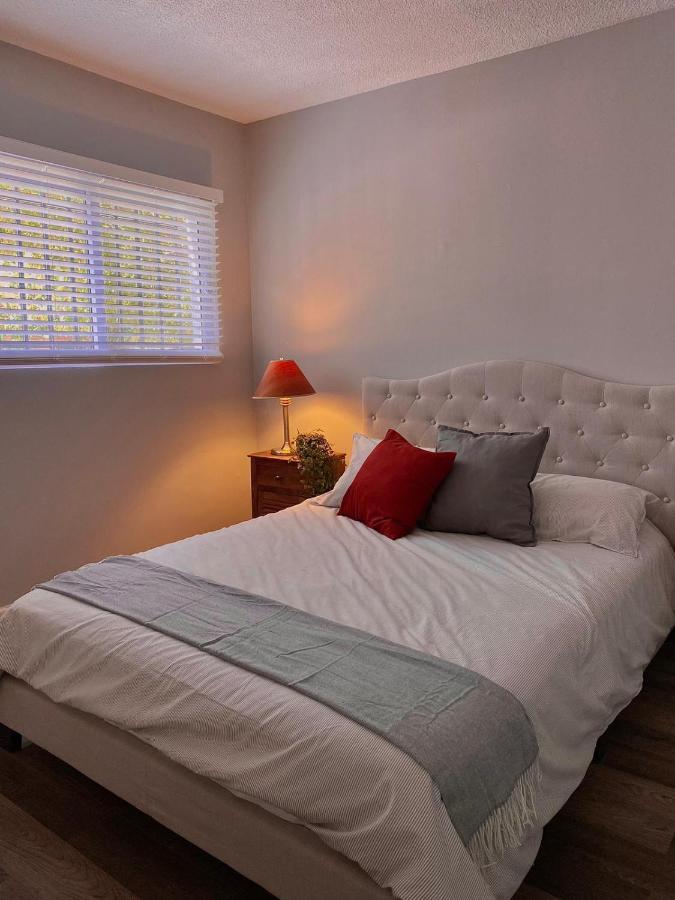 Apartamento Lindo departamento totalmente remodelado, tranquilo y centrico Ciudad Juárez Exterior foto